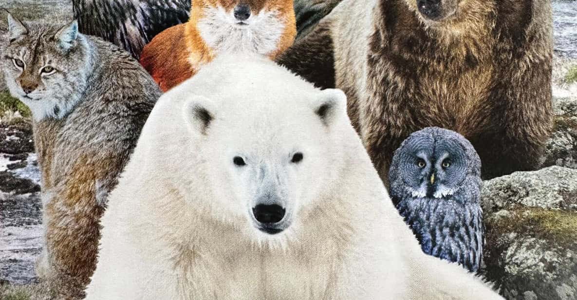 From Rovaniemi: Private Tour to Ranua Zoo | GetYourGuide
