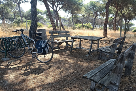 Huelva-Punta Umbria Bike Sightseeing Tour and Cruise Tour Huelva-Punta Umbria Sightseeing Tour and Boat Ride