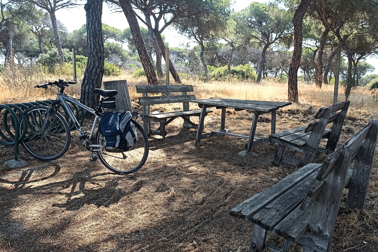 Huelva-Punta Umbria Bike Sightseeing Tour and Cruise Tour Huelva-Punta Umbria Sightseeing Tour and Boat Ride