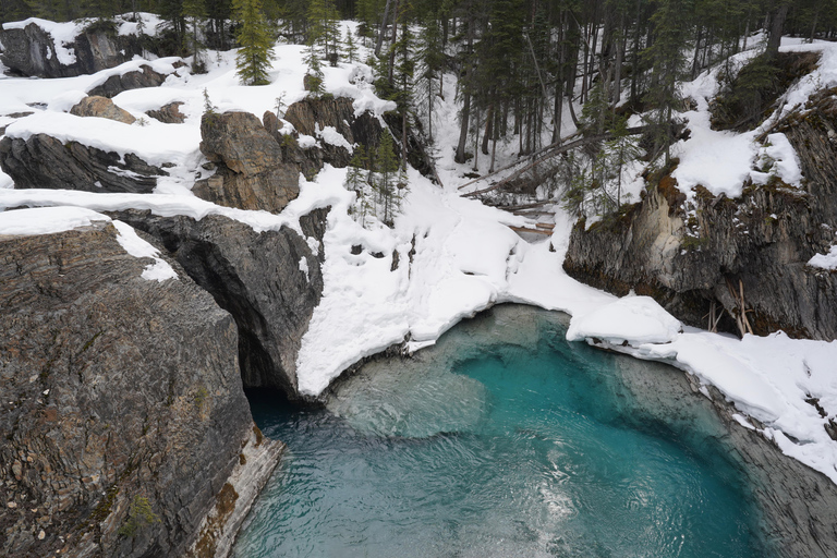 Calgary: Emerald Lake & Takakkaw Falls Small Group Tour