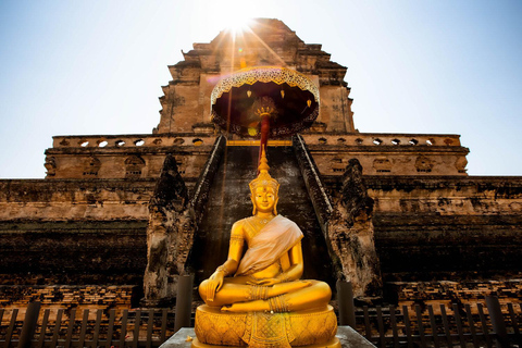 Chiang Mai : Visite nocturne des temples et de la cuisine de rue en tuk tuk