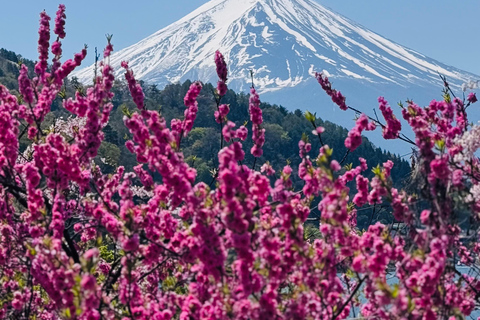 Tokyo: Private Daytrip to Mount Fuji - Fully Customizable Mt Fuji Private Luxury Van Tour (Customizable Experience)