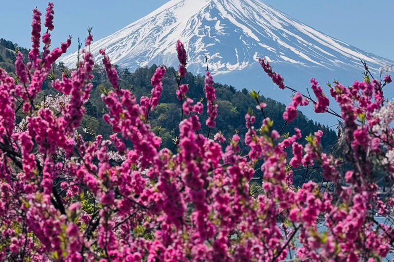 Tokyo: Private Daytrip to Mount Fuji - Fully Customizable Mt Fuji Private Luxury Van Tour (Customizable Experience)