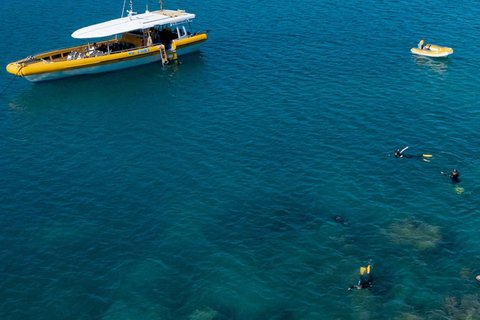 Whitsunday: Excursão às Ilhas Whitsunday com mergulho com snorkel e almoço