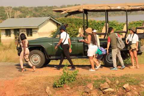 Uganda: 9 dagar Mt.Rwenzori krets och Queen Elizabeth NP