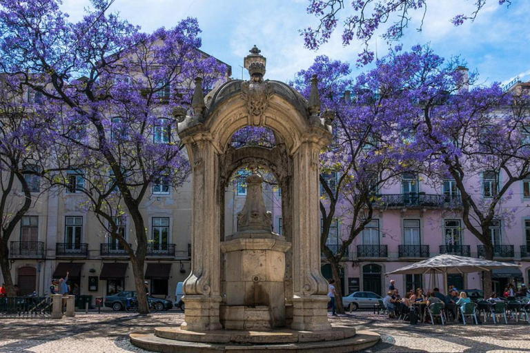 Visit of Lisbon in French. Small group (10 max)! Follow me! Visite Goupe privée de Lisbonne!