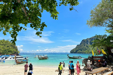 Krabi: 4-eilanden dagtour per longtailboot of speedbootGezamenlijke tocht met longtailboot