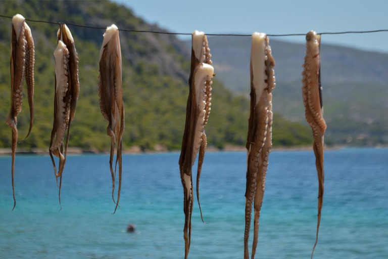 Explore Loutraki & Lake Vouliagmeni: Nature and Relaxation