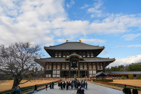 京都与奈良：一日游亮点之旅，专属私人轿车服务京都与奈良：一日游精华行程，专属私人轿车服务