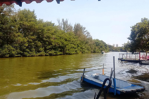 Rio de Janeiro: Ilha da Gigóia Canals and Wildlife Tour