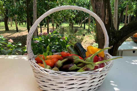 De Sorrento : Cours de cuisine à Lemon Grove