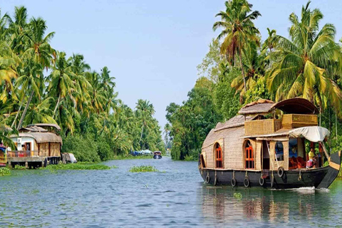 5-Day Kerala Highlights Tour with Overnight Houseboat Stay 3 Star Hotel Accommodation