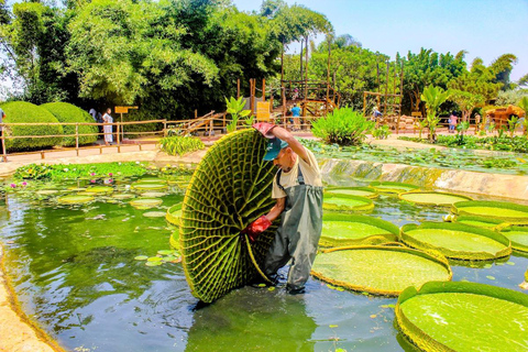 Agadir Tour: Cable Car, Crocoparc & Tree-Climbing Goats From Agadir Cable Car, Crocoparc & Tree-Climbing Goats