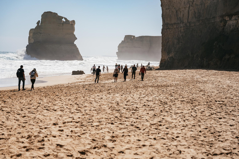 Z Melbourne: Całodniowa wycieczka Great Ocean RoadZ Melbourne: Wycieczka całodniowa trasą Great Ocean Road