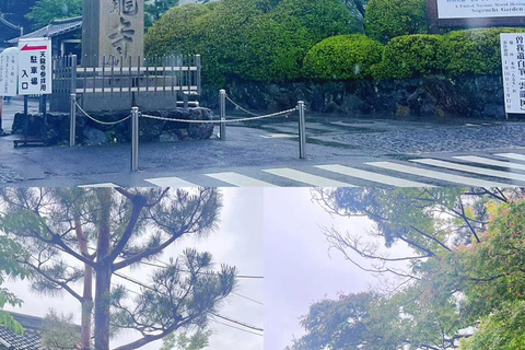 A Thousand Years in One Day: Kyoto & Nara Panoramic Tour Osaka Station