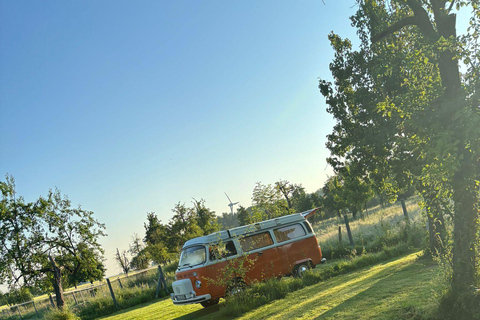 VW T2 Camper/Bulli rental for 2 days