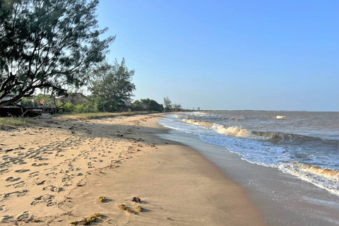 Dar es Salaam: safari w Parku Narodowym SaadaniDar es Salaam: Safari w Parku Narodowym Saadani