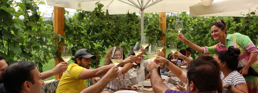 Depuis Belgrade ou Novi Sad : Visite privée des vignobles de Fruska Gora