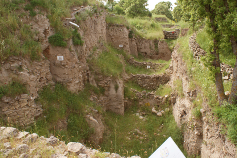 Istanbul: Troy Guided Day Trip with Ferry Ride