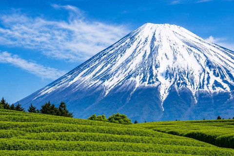 Tokyo: Mt Fuji Full-Day Private Tour of Top Best Places
