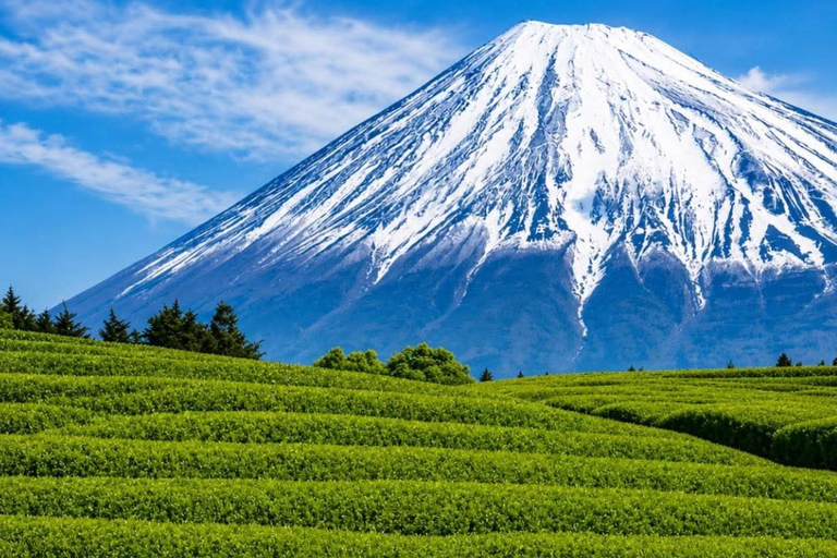 Tokyo: Mt Fuji Full-Day Private Tour of Top Best Places