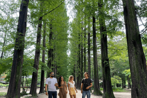 Séoul : Excursion d&#039;une journée à Gangwon-do avec le monde des alpagas et l&#039;île de NamiVisite de jardin en groupe au départ de Hongdae