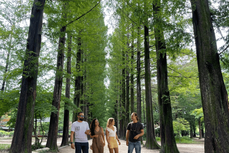 Seoul: Escursione di un giorno a Gangwon-do con il Mondo degli Alpaca e l&#039;Isola di NamiTour di gruppo dei giardini da Myengdong