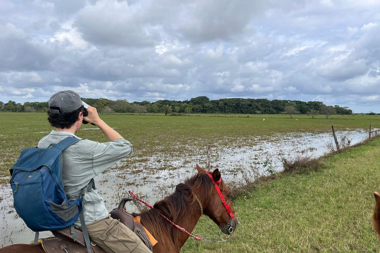 Palenque: waterfalls, buffalo, & birdwatching, a soulful immersion
