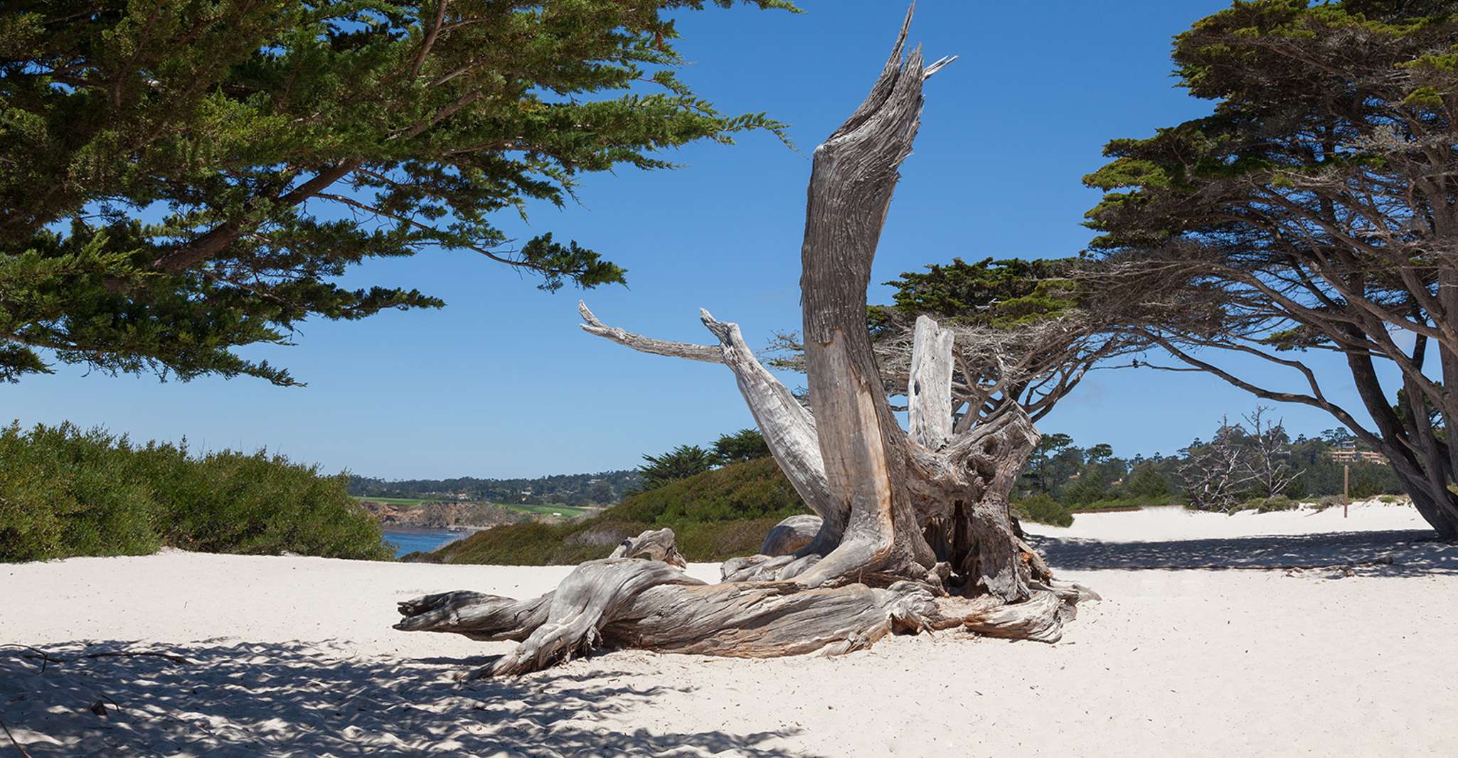 Monterey, Carmel, 17 Mile DR, Big Sur & McWay Falls Pvt Tour - Housity