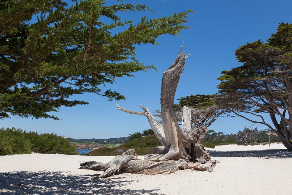 Monterey, Carmel, 17 Mile Dr, Big Sur & Mcway Falls Pvt Tour image 2