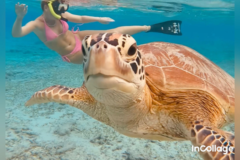 Gili Island: Privat snorklingstur 3 platser med GoPro