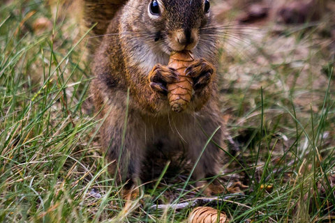 Bangui: Sangha River Expedition – 5-Day
