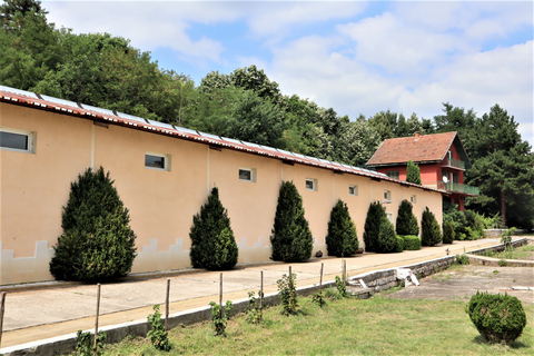 Skały Belogradchik i wina organiczne, całodniowa wycieczka