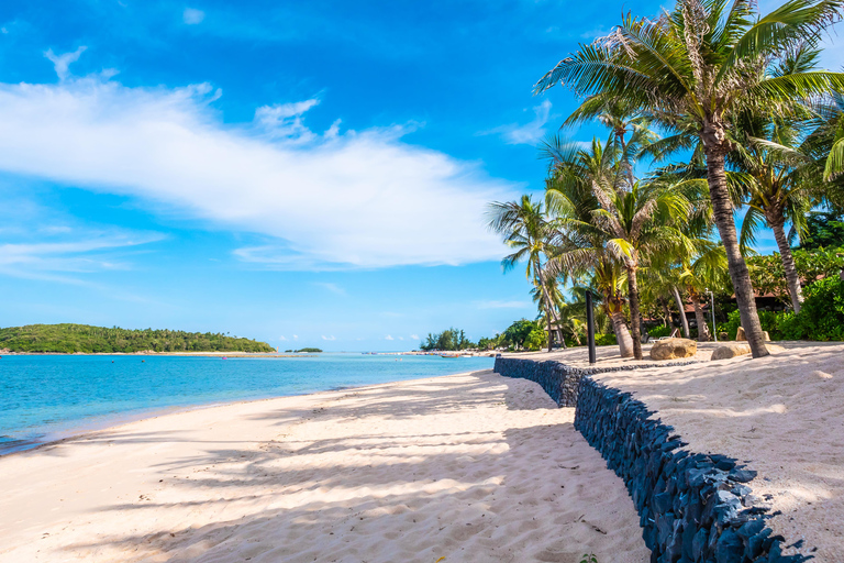 Insel Saona & Altos de Chavón: Ganztägige Tour mit Mittagessen