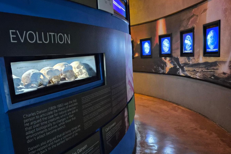Johannesburg: Cradle Of Humankind & Fossil Discovery Tour