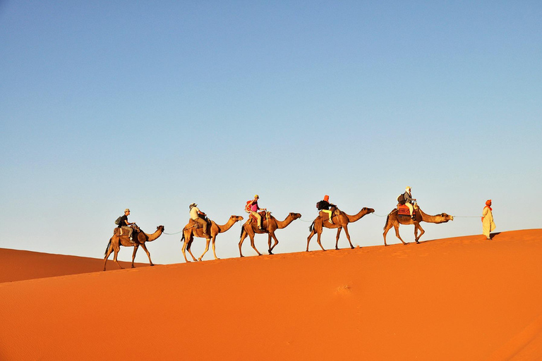From Tunis to the Sahara: 3-Day Tour of Tozeur and Douz
