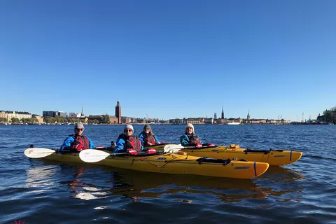Stockholm: Winter City Kayaking Tour