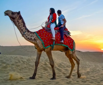 8 Days Rajasthan Tour - Jaipur, Jodhpur, Jaisalmer & Bikaner