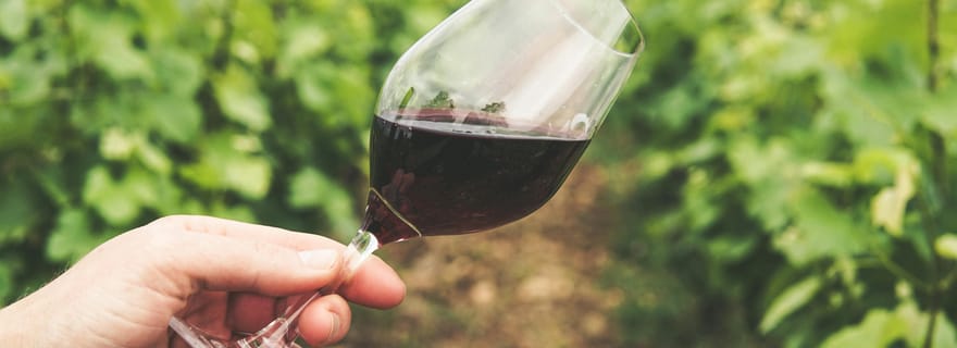 Kavala : VinoTour - Visite privée des vignobles