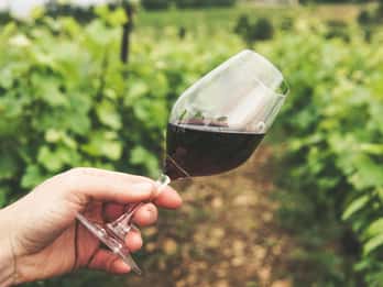 Kavala: VinoTour - Wineries Private Tour