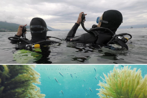 Ohrid: Scuba Diving Experience in Lake Ohrid