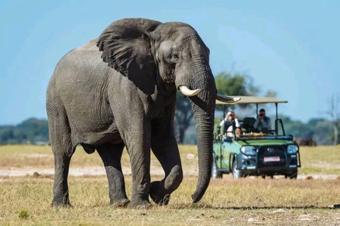 Chobe National Park & Victoria Falls 2-Day Tour