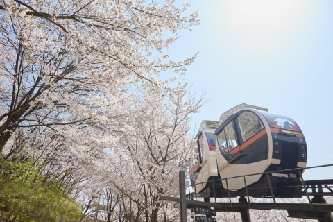Seoul: Hwadam Botanische Tuin & Nami Eiland Bloemen DagtourNami & Railbike Tour, Ontmoeten in Myeongdong