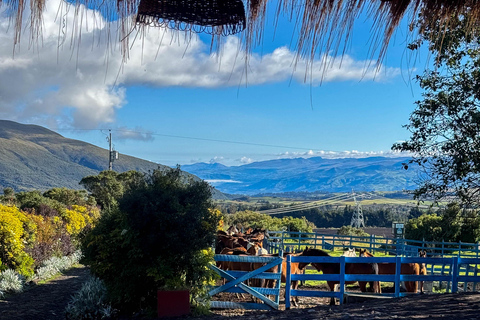 Quito: 2-Day All-Inclusive Cotopaxi Adventure