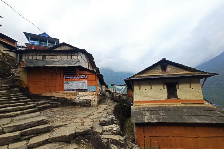 From Pokhara: 4 Day Annapurna Poon Hill with Ghandruk Trek