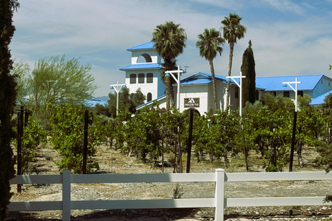 Visite panoramique de Las Vegas/Pahrump avec dégustation de vin et nourritureLas Vegas / Pahrump Dégustation de vins et collations