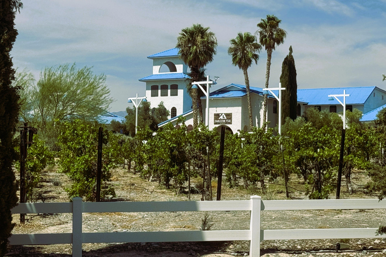 Visite panoramique de Las Vegas/Pahrump avec dégustation de vin et nourritureLas Vegas / Pahrump Dégustation de vins et collations