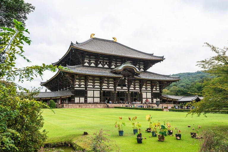 From Kyoto/Osaka: Nara Private Tour with Guide and Vehicle Minivan (Up to 4 PAX) from Osaka