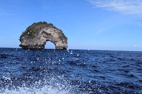 Nusa Penida: Snorkeling Adventure at Manta Point Sharing Boat: Manta Point & Gamat Bay Adventure