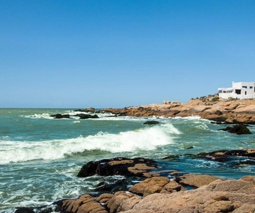 Punta del Este: Cabo Polonio City and Beach Tour